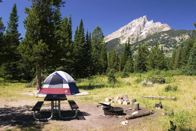 Top 10 Scenic National Forest Campgrounds for Your Next Adventure