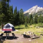 Top 10 Scenic National Forest Campgrounds for Your Next Adventure