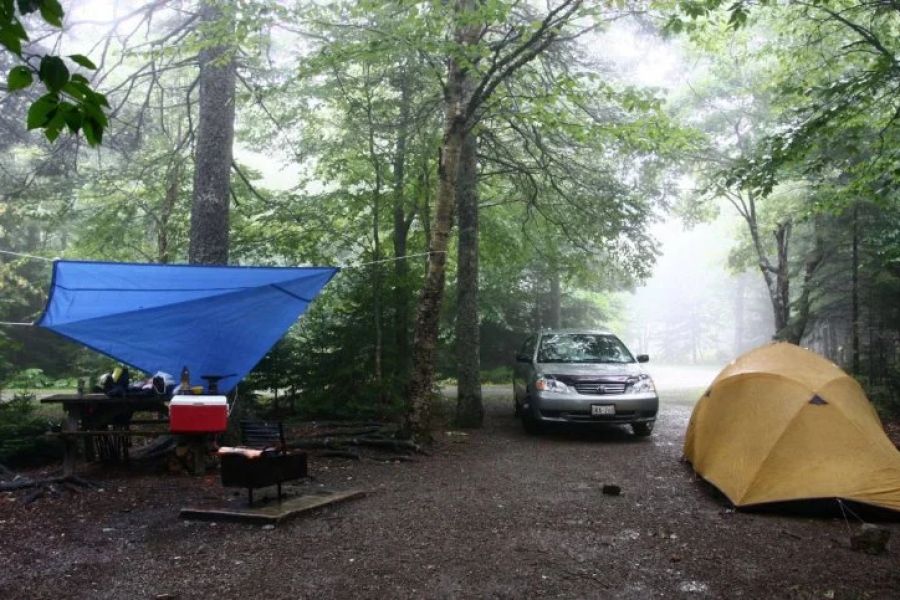 Tent Camping in Cold Rain: What Gear to Bring & How to Stay Dry