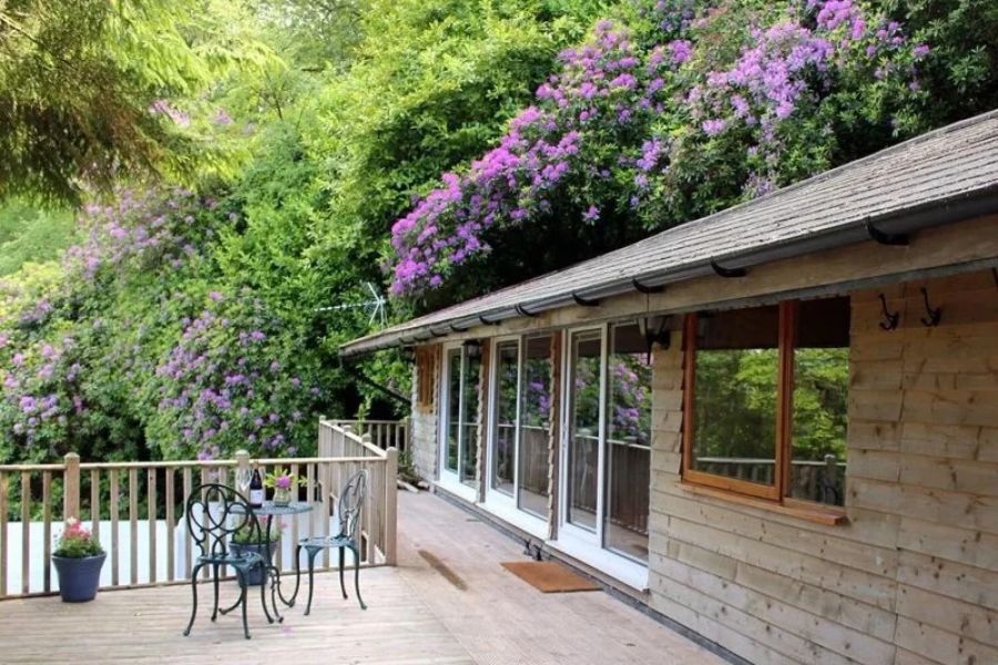 Best Cottages Near Me for a Peaceful Solo Getaway