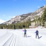 Best Campgrounds Near Skiing and Snowshoeing Trails: Top Spots for Outdoor Adventures