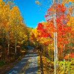 How to Find Campsites with Stunning Fall Color Views | Camp Spotter