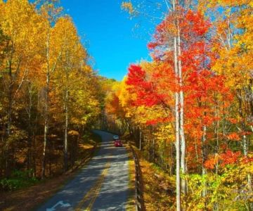 How to Find Campsites with Stunning Fall Color Views | Camp Spotter