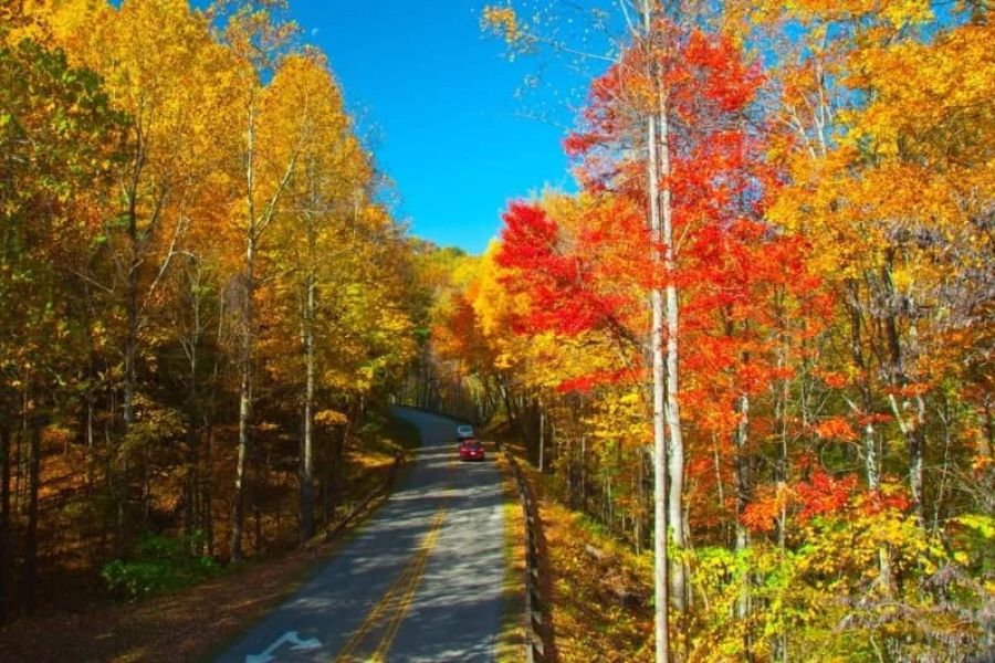 How to Find Campsites with Stunning Fall Color Views | Camp Spotter