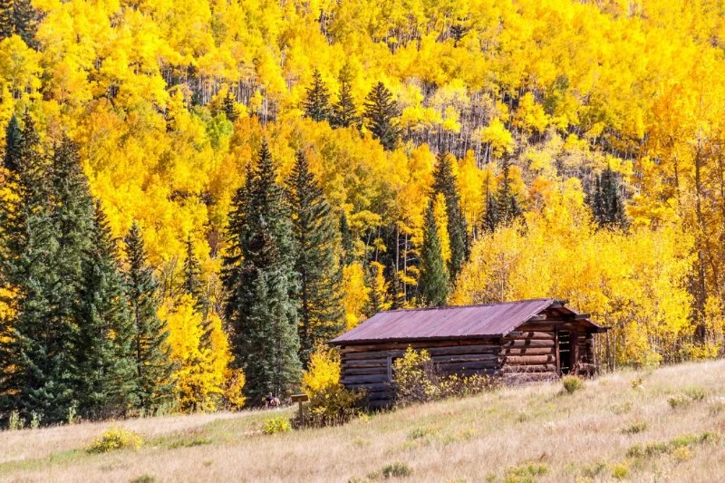 Best U.S. Campgrounds for Leaf-Peeping and Photography