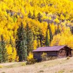 Best U.S. Campgrounds for Leaf-Peeping and Photography