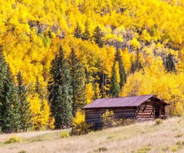 Best U.S. Campgrounds for Leaf-Peeping and Photography