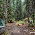 How to Camp Responsibly in Bear Country