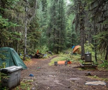 How to Camp Responsibly in Bear Country