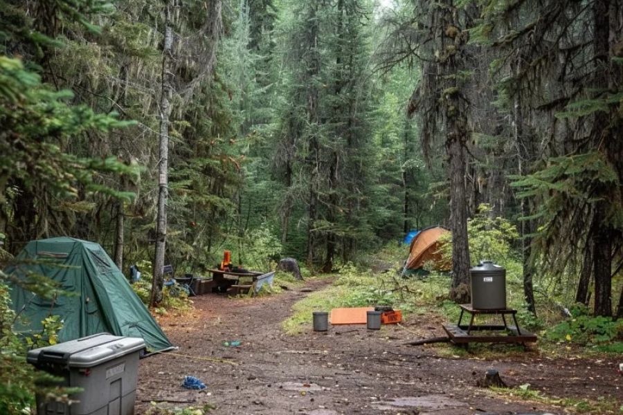 How to Camp Responsibly in Bear Country