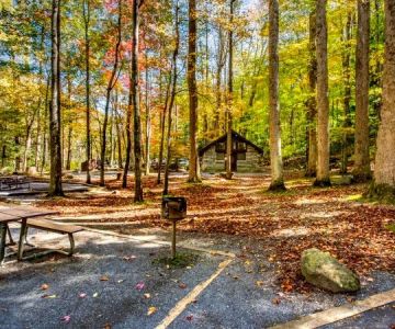 Why Camping in National Parks Is Worth the Reservation Rush