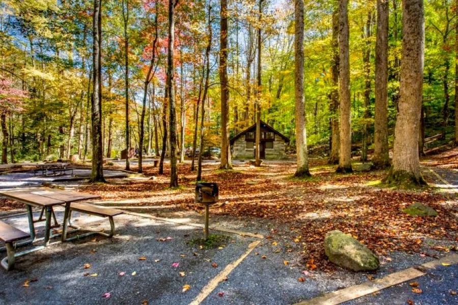 Why Camping in National Parks Is Worth the Reservation Rush