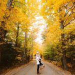 Fall Road Trip Itinerary Ideas for Campers