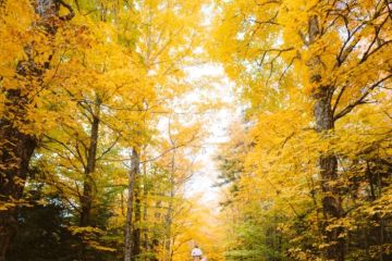 Fall Road Trip Itinerary Ideas for Campers