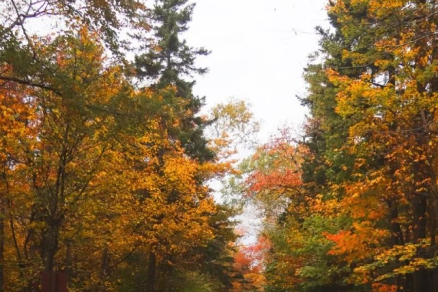 Fall Road Trip Itinerary Ideas for Campers