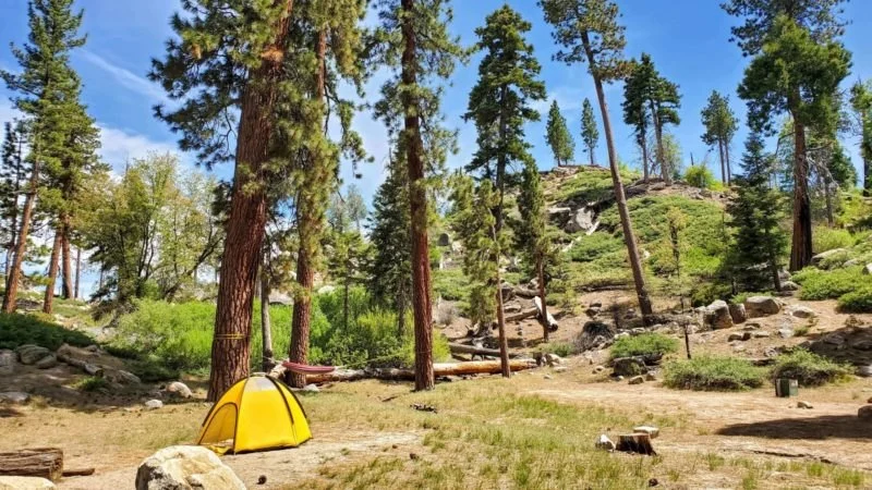 How to Find Campsites with Great Hiking Trails Nearby