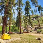 How to Find Campsites with Great Hiking Trails Nearby
