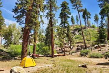 How to Find Campsites with Great Hiking Trails Nearby