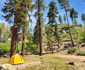 How to Find Campsites with Great Hiking Trails Nearby