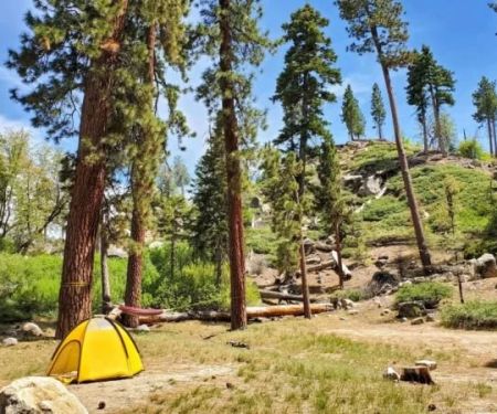 How to Find Campsites with Great Hiking Trails Nearby