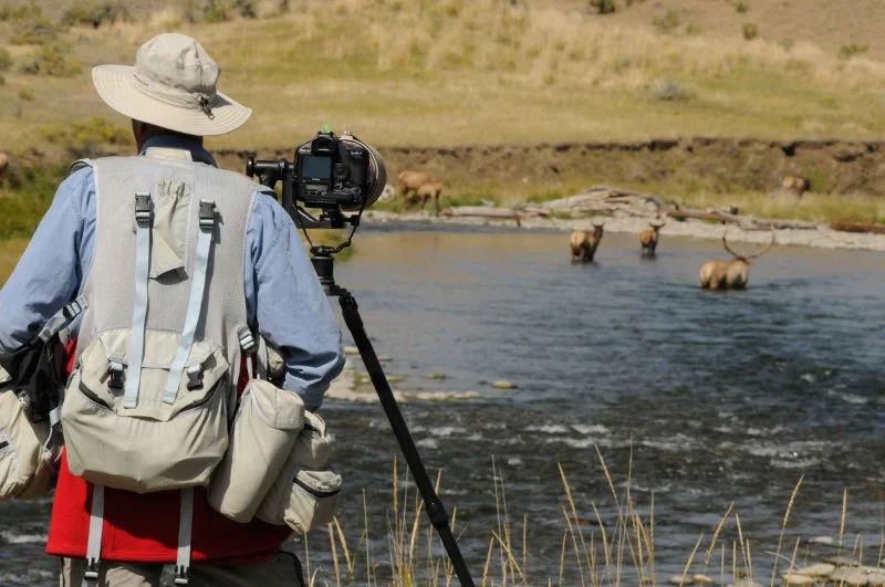 Best Campgrounds for Wildlife Photography Enthusiasts