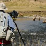 Best Campgrounds for Wildlife Photography Enthusiasts