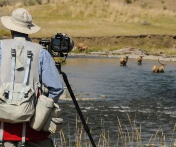 Best Campgrounds for Wildlife Photography Enthusiasts