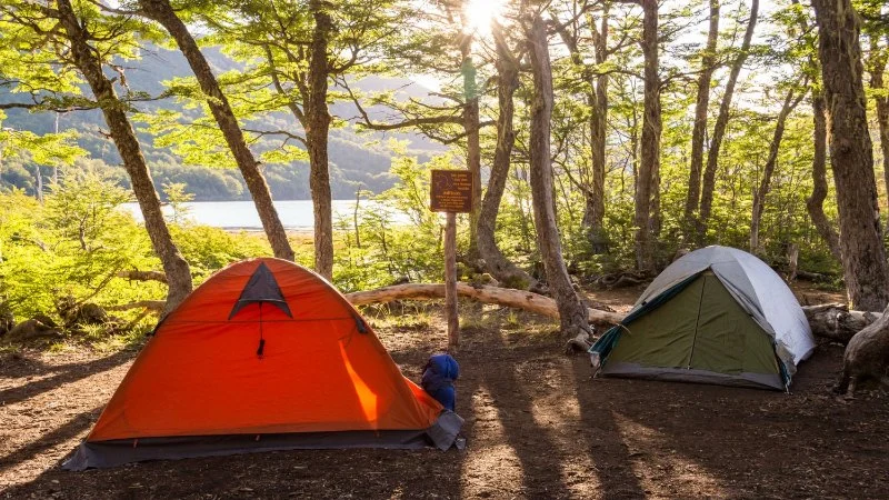 How to Find Last-Minute Campsites Near Me: Tips & Tools