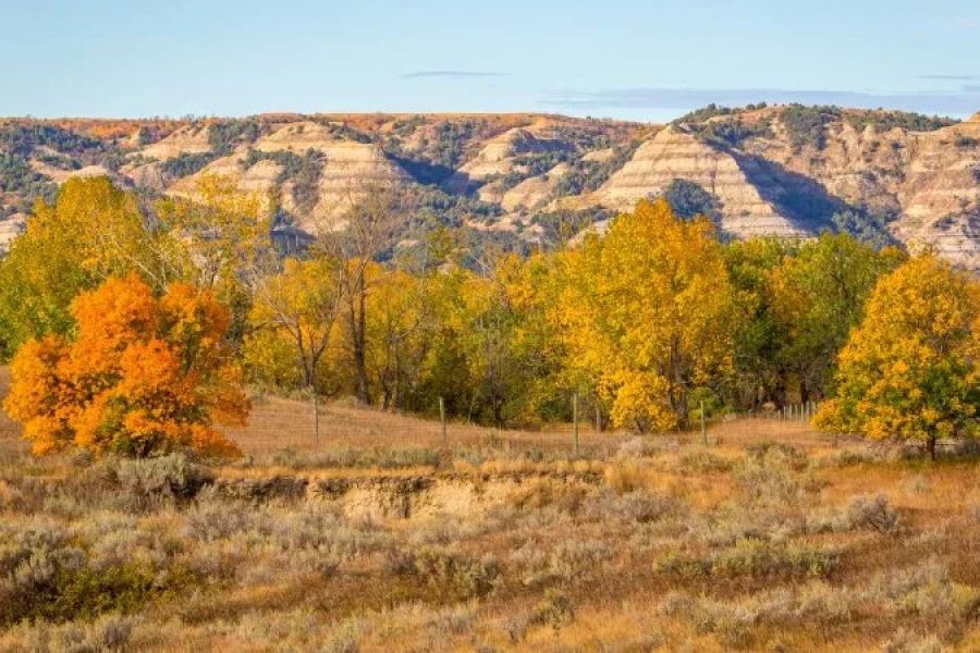 The Most Underrated National Parks for Fall Camping Guide