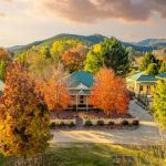 Cottages Near Me That Offer the Best Autumn Views for a Scenic Getaway