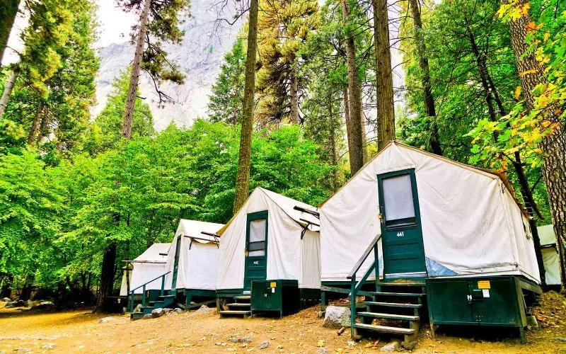 The Best Campgrounds Near U.S. Canyons for Scenic Outdoor Adventures