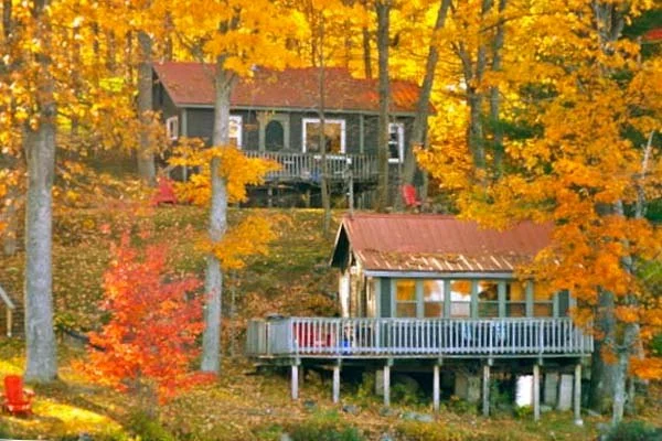 Cottages Near Me That Offer the Best Autumn Views