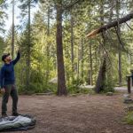 Campsite Tree Hazards: Look Up Before You Set Up