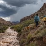 Flash Flood Camping Risk: Move Before Water Rises