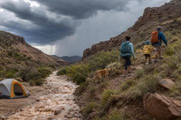 Flash Flood Camping Risk: Move Before Water Rises