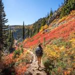 The Most Underrated National Parks for Fall Camping You Should Visit