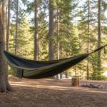 Hammock Camping: A Safe Tree and Site Checklist